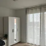 Appartamento Magnifique F1 à Lingolsheim